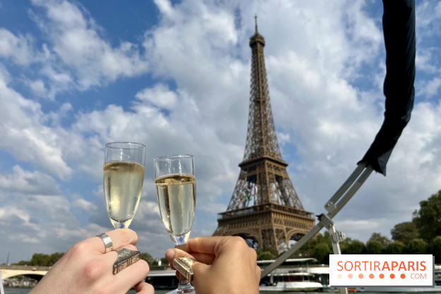 Sortie romantique : Une croisiere privée en couple le long de la Seine à Paris