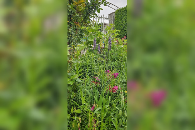 Jardin de Patrick et Roland