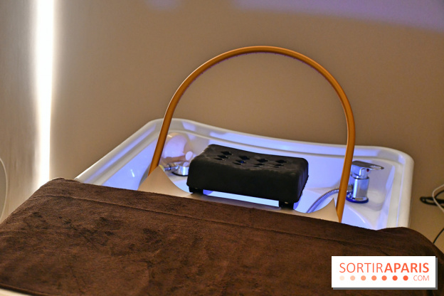 NESSPA head spa capillaire