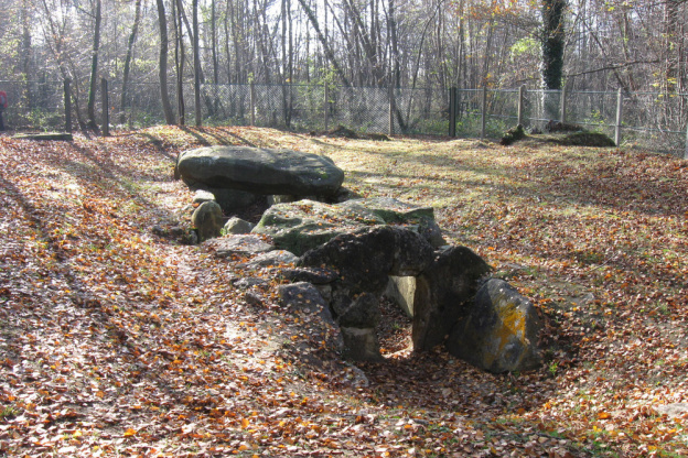 Le château de la Montjoie, des vestiges oubliés au cœur d'une forêt en région parisienne