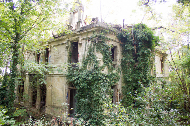 Le bois de la solitude et les ruines de son mystérieux château : une balade romantique en région parisienne