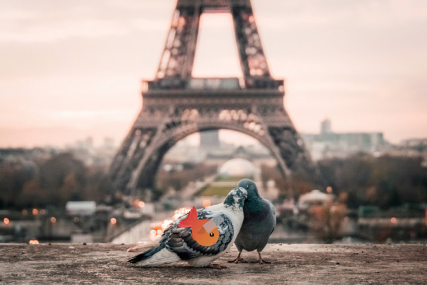 Poissons d'avril ou pas ? Le QCM pour vous tester 