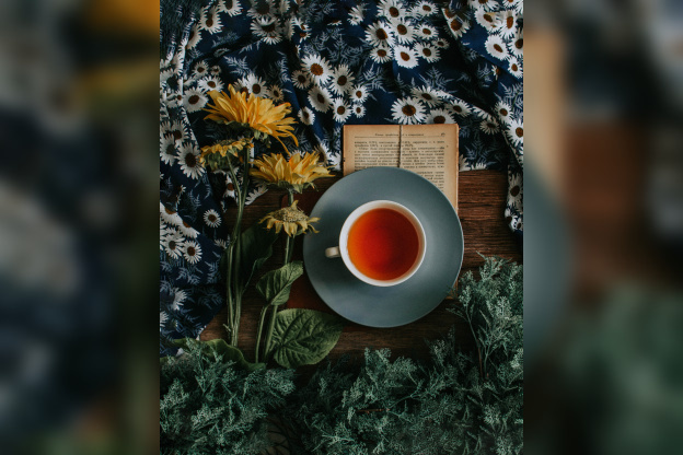 Week-end découverte au village des Thés 