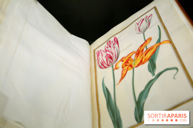 Exposition Jardins au Grand Palais