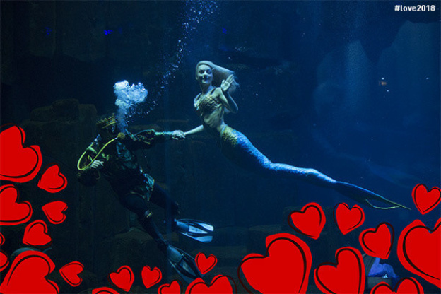 Saint-Valentin 2018 à l'Aquarium de Paris 