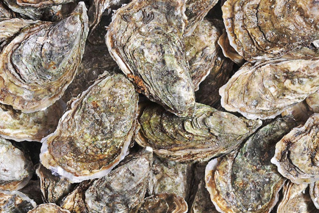 Salon gastronomique Mer et Vigne 2018 au Parc Floral