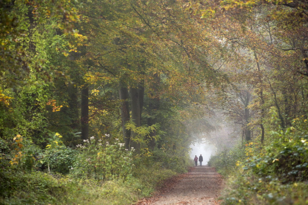 Journées du patrimoine 2018 à la forêt de Saint-Germain