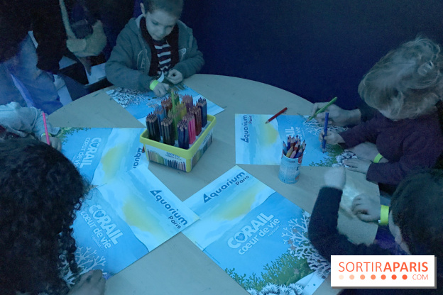 Les récifs Coralliens s'exposent à l'Aquarium de Paris