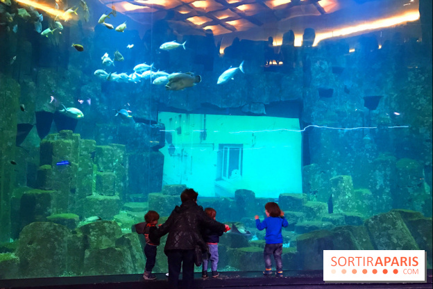 Les récifs Coralliens s'exposent à l'Aquarium de Paris