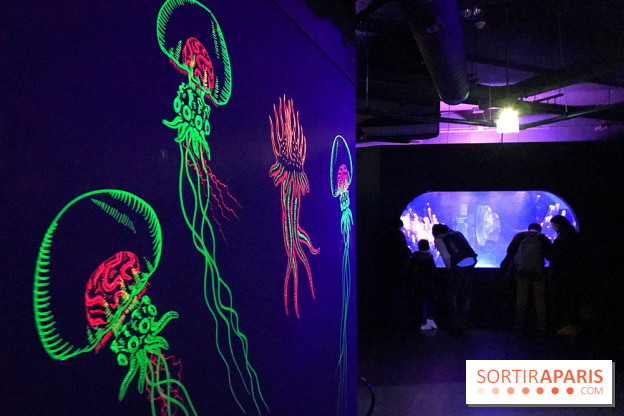 Les récifs Coralliens s'exposent à l'Aquarium de Paris