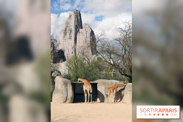Zoo de Vincennes, Parc Zoologique de Paris 2017