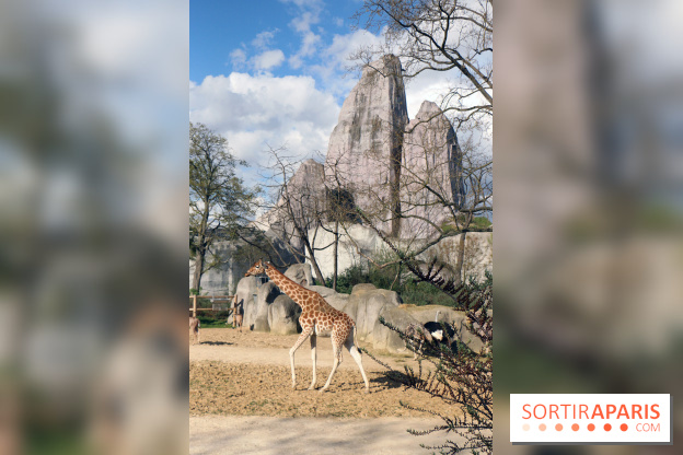 Zoo de Vincennes, Parc Zoologique de Paris 2017