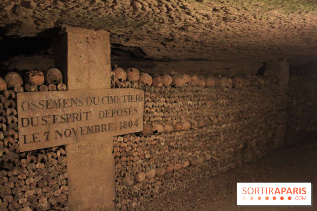 Les Catacombes de Paris