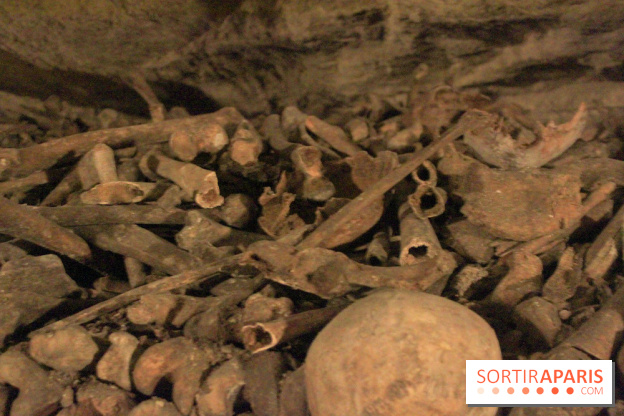 Les Catacombes de Paris