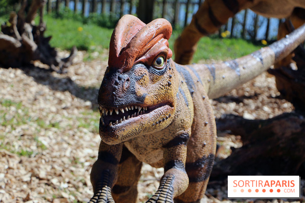 DinoZOOres II au Zoo de Thoiry