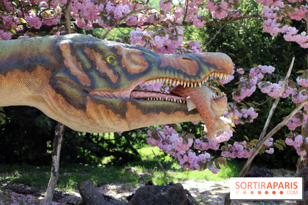 DinoZOOres II au Zoo de Thoiry