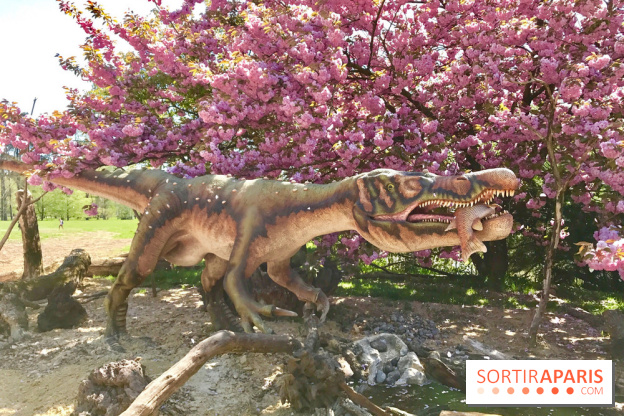 DinoZOOre II au Zoo de Thoiry, album 2