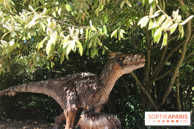 DinoZOOre II au Zoo de Thoiry, album 2