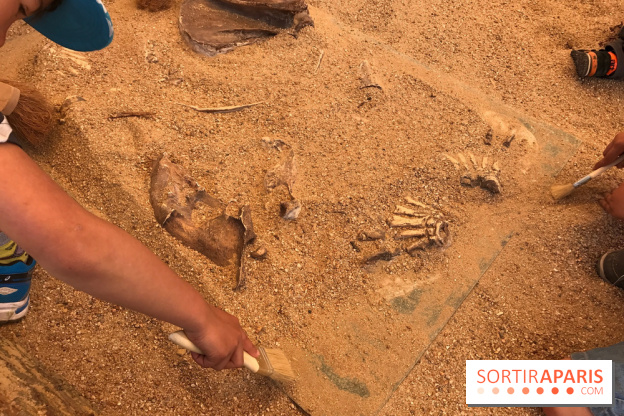 DinoZOOre II au Zoo de Thoiry, album 2