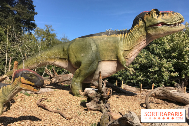 DinoZOOre II au Zoo de Thoiry, album 2