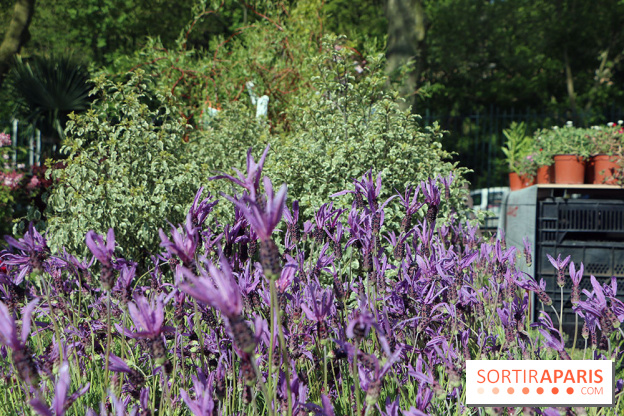 Jardins en Seine 2017