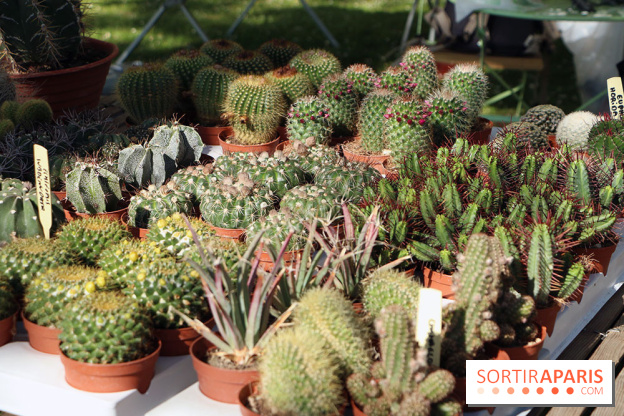 Jardins en Seine 2017