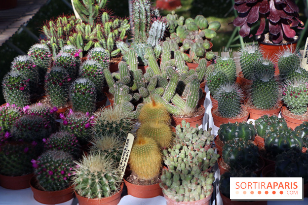 Jardins en Seine 2017