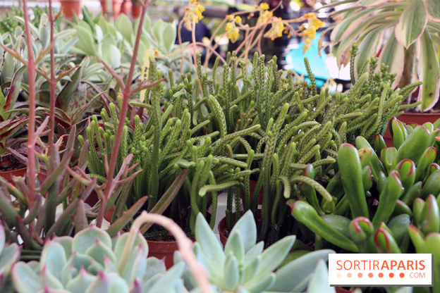 Jardins en Seine 2017