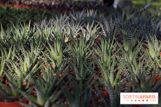 Jardins en Seine 2017