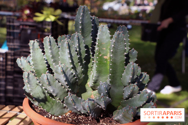 Jardins en Seine 2017