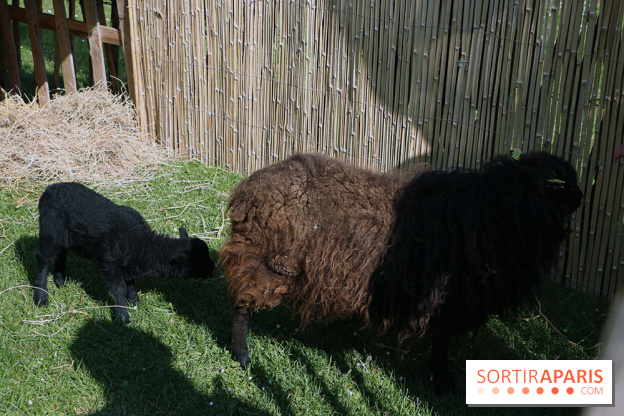 Jardins en Seine 2017