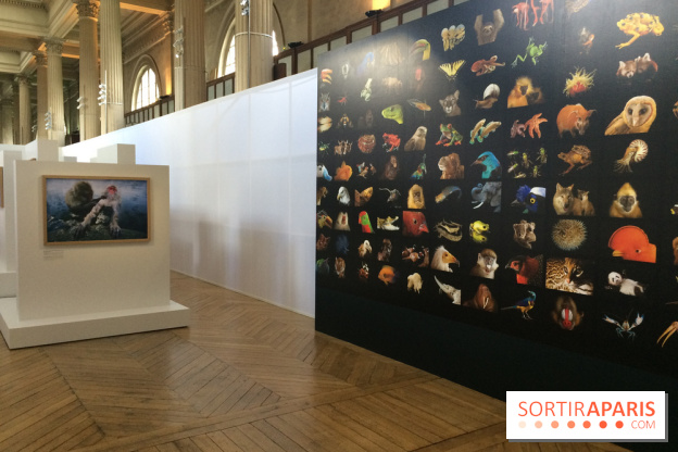 National Geographic s'expose au MNHA : nos images de l'expo