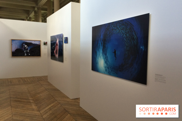 National Geographic s'expose au MNHA : nos images de l'expo