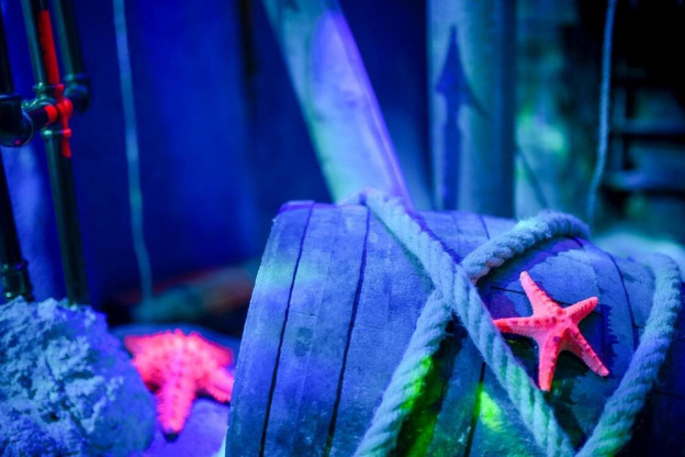 Règlement de contes : l'escape game fantastique chez Pandore & Associés