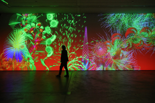 Pixels Botaniques : l'exposition numérique de Miguel Chevalier au Musée de la Seine-et-Marne