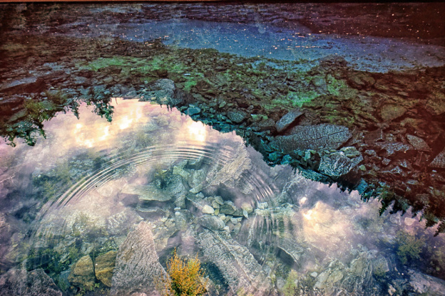 Lumière : l'exposition de Matthieu Ricard à la galerie Françoise Livinec