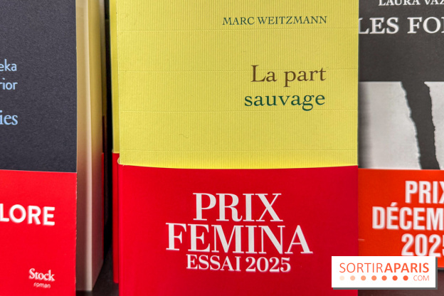 Prix Femina 2025 : Nathacha Appanah récompensée pour La Nuit au cœur