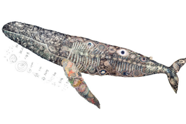 Carte blanche à Maki Ohkojima à l'Aquarium de Paris