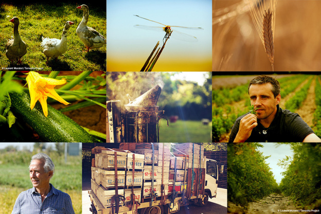 AGRICULTURE(S), l'exposition à l'Espace Coutures Saint-Gervais