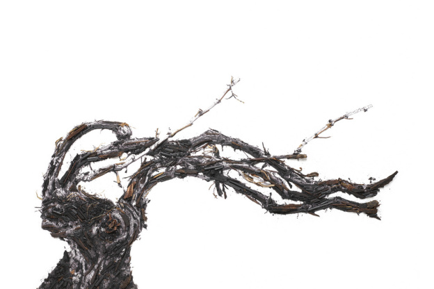 Shared Roots, l'exposition de Vik Muniz au Palais Brongniart