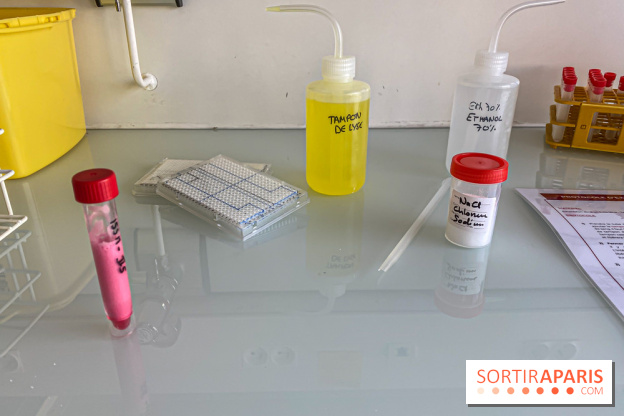 Escape Gènes, l'escape game qui sensibilise à la recherche génétique à l'Institut Imagine