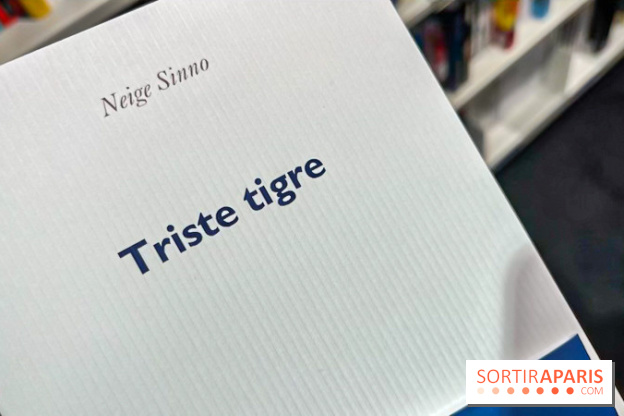 Prix Femina 2023 : "Triste tigre" de Neige Sinno récompensé, un roman qui brise le silence