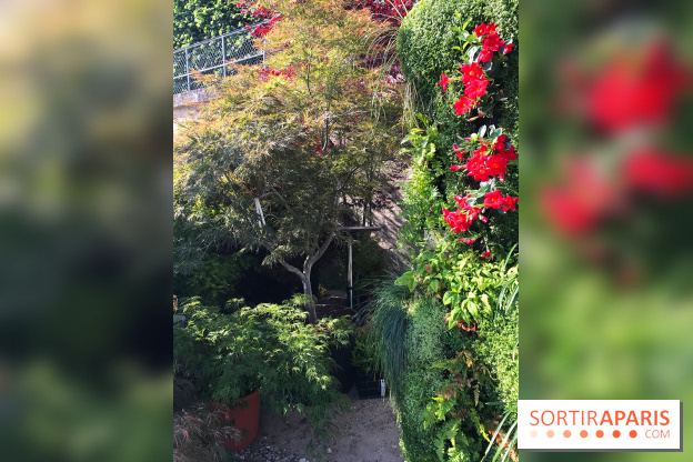 Jardins Jardin 2017 aux Tuileries, les photos