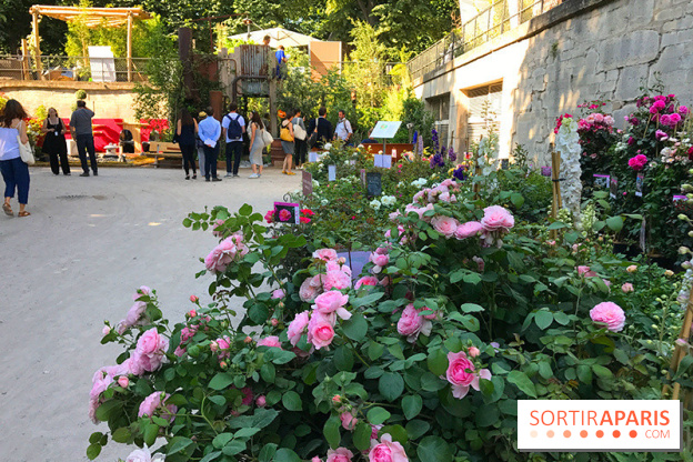 Jardins Jardin 2017 aux Tuileries, les photos