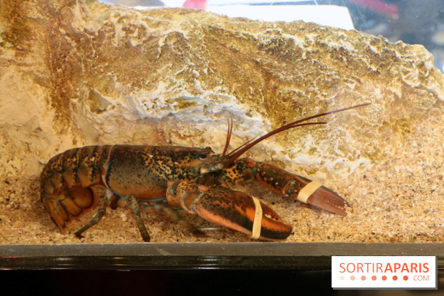 Grand Bistro Breteuil