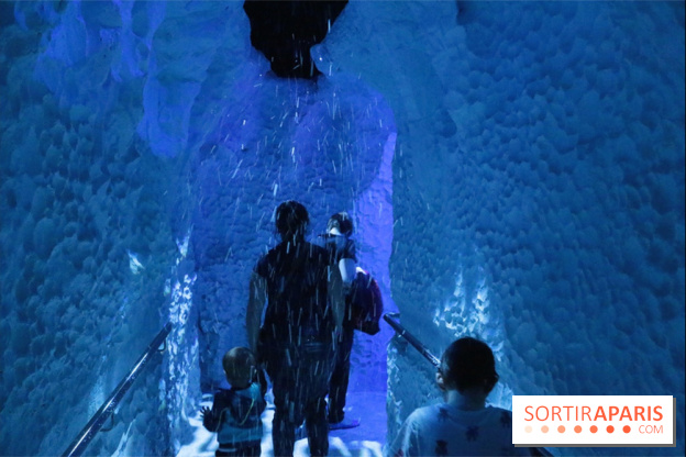 Les Manchots de l'Aquarium Sea Life