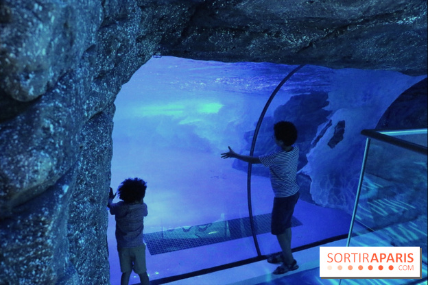 Les Manchots de l'Aquarium Sea Life