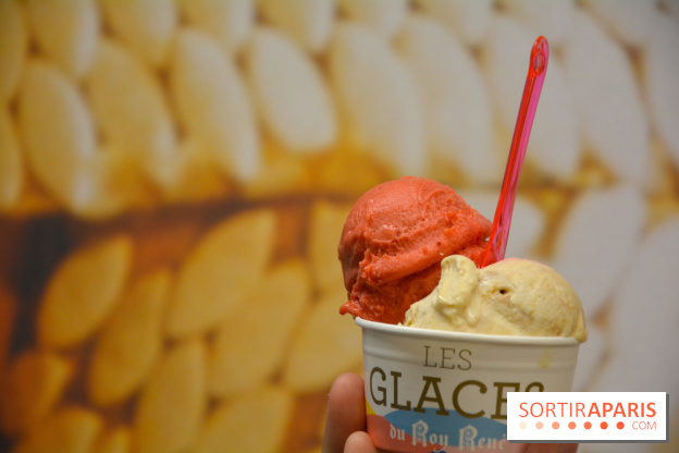 Les glaces chez Le Roy René