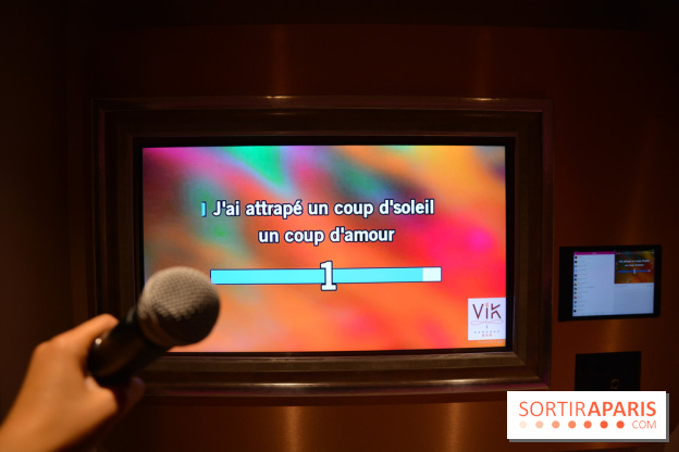 VIK Karaoké Saint Michel