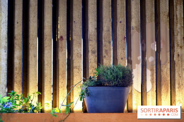 Les Grands Verres au Palais de Tokyo